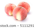 桃子 5111291