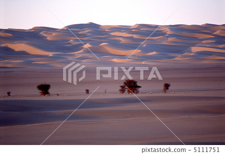 Dunes of the Sahara Desert Dunes of the Sahara Desert 5111751