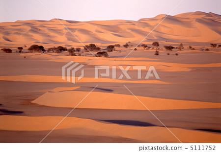 Dunes of the Sahara Desert Dunes of the Sahara Desert 5111752