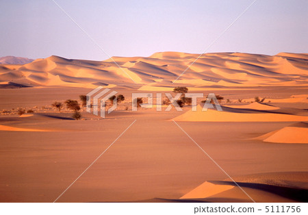 Dunes of the Sahara Desert 5111756