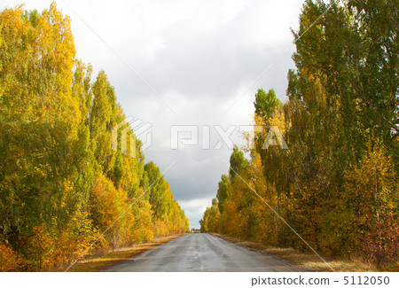 Autumn Landscape Autumn Landscape 5112050