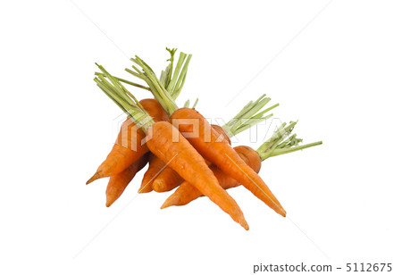 fresh carrots isolated fresh carrots isolated 5112675