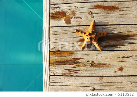 Starfish by a swimming pool 5113532