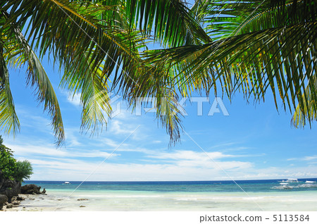 Beautiful beach 5113584