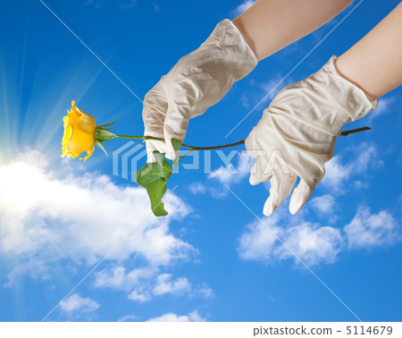 Hands of a doctor in a sterile gloves holding a dew in the sky Hands of a doctor in a sterile gloves holding a dew in the sky 5114679