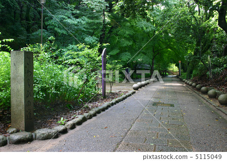 Kyoto Uji Shirabichi no Michi 5115049