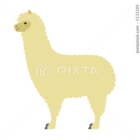 羊駝 5115105