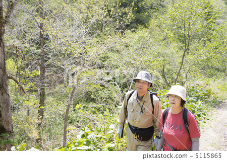 Climbing Climbing 5115865