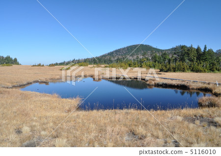 Raised bog 5116010