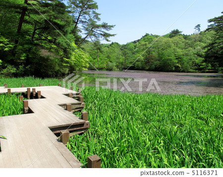 Kobe City Forest Botanic Garden 5116371