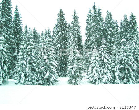 Northern Italy Snowscape (Canazei) 5117347
