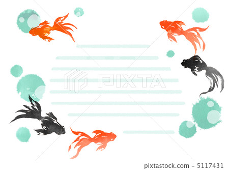 金魚框架3 5117431