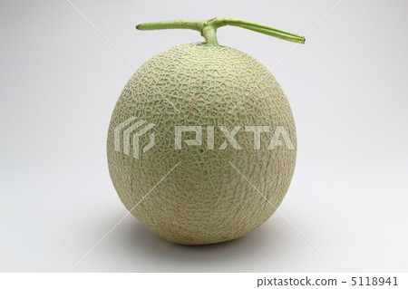 melon 5118941