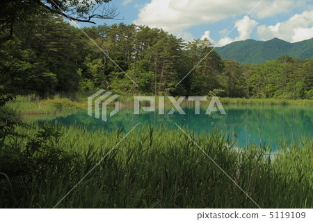 Gotokuma Gotokuma 5119109