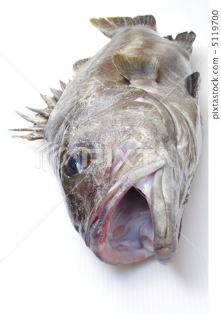 Ouchi Isenagi（俯視圖） 5119700