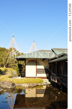 天鵝花園與冬季甜茶和雪橇 5120586