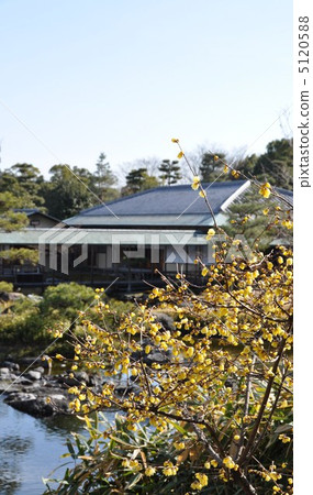 Winter swan garden Sosin Ryubai and Kihitei Winter swan garden Sosin Ryubai and Kihitei 5120588