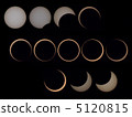 Flowering solar eclipse May 20, 2012 Continuous photo in Arizona 5120815