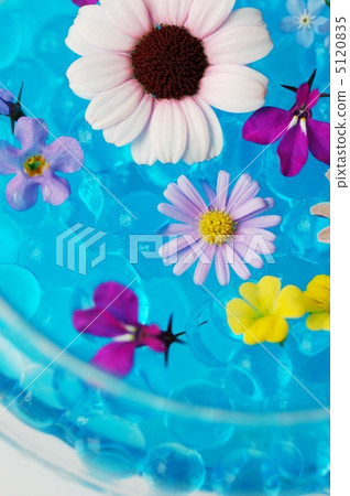 2012 Summer shot 5120835