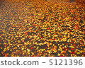 Carpet of fallen leaves 5121396