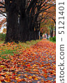 Fallen leaves 5121401