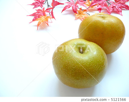 寇Mizunashi 5121566