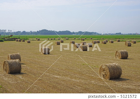 Hay 5121572