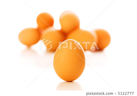 Brown egg on white - shallow depth of field 5122777