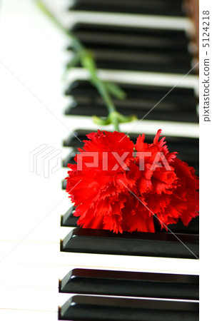 Romantic concept - red carnation on piano keys Romantic concept - red carnation on piano keys 5124218