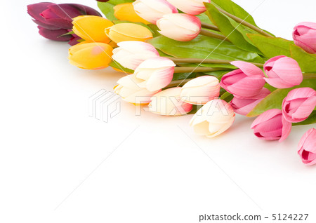 Many tulips isolated on the white background Many tulips isolated on the white background 5124227