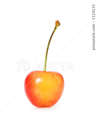Cherries isolated on the white background Cherries isolated on the white background 5124235
