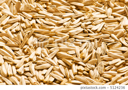 Lots of sunflower seeds arranged as background Lots of sunflower seeds arranged as background 5124236