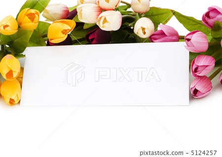Tulips and blank message isolated on white Tulips and blank message isolated on white 5124257