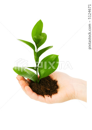 Green seedling in hand isolated on white Green seedling in hand isolated on white 5124671