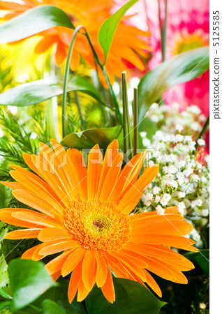 Gerbera flowers agaisnt green blurred background Gerbera flowers agaisnt green blurred background 5125585