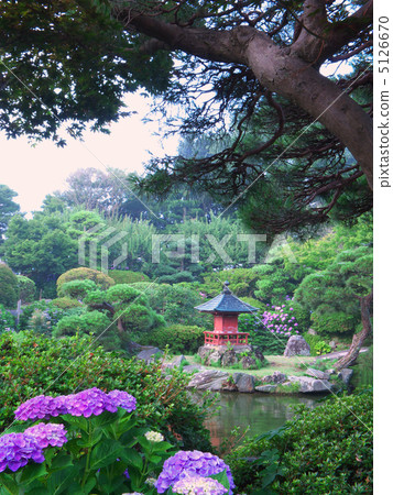 早上的日本花園（垂直切割） 5126670
