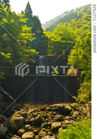 屋久島阿波森林公路大壩雅庫鹿 5127428