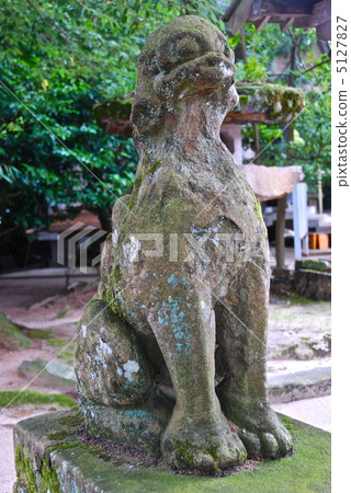 Japan's oldest "Guardian Dog" (Yaigaki Shrine / Shogane Prefecture Matsue City Sakusa Town) 5127827