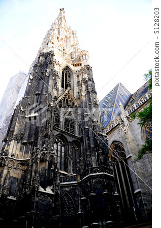 奧地利聖斯蒂芬大教堂 5128203