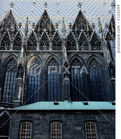 奧地利聖斯蒂芬大教堂 5128204