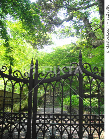 新綠的鎌倉文學館的風景 5128380