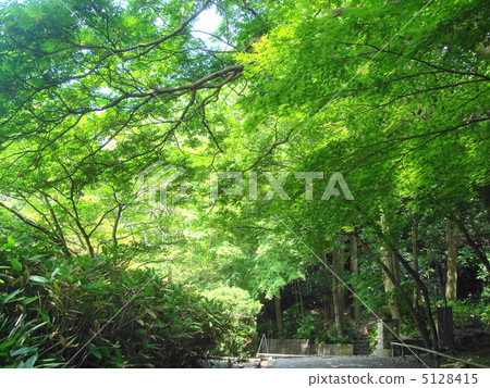 鎌倉文學館 5128415