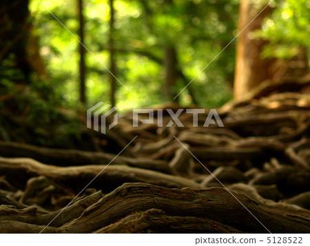 Kuramayama Kinen Road 5128522