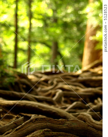 Kuramayama Kinen Road 5128523