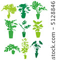 Monstera Silhouette 5128846