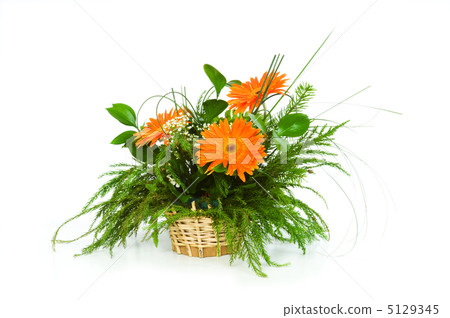 Orange gerberas isolated on the white Orange gerberas isolated on the white 5129345