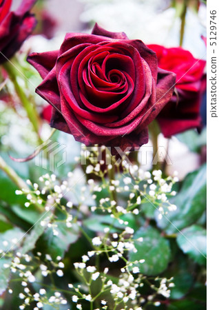Red roses and other flowers in arrangement 5129746