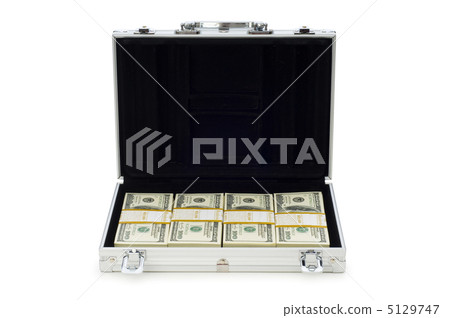 Metal case and lots of dollars on white 5129747