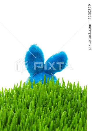 Easter bunny and green grass on white Easter bunny and green grass on white 5130259