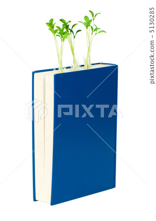 Knowledge concept with books and seedlings Knowledge concept with books and seedlings 5130285